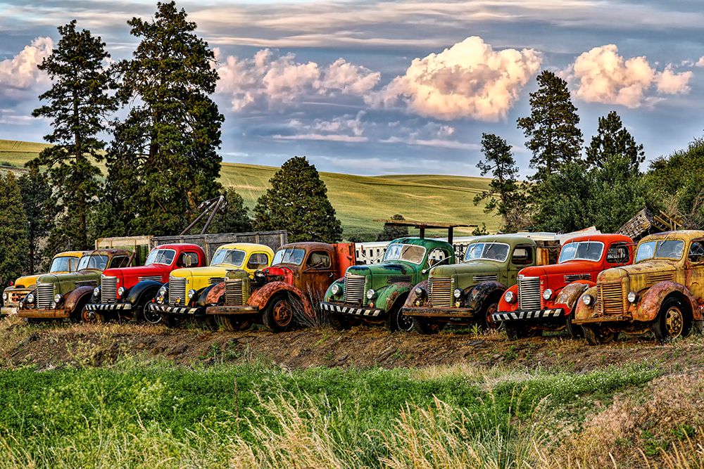 USA, Colfax, Washington State. Vintage trucks.